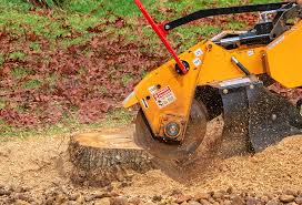 Best Weed Control  in Massanutten, VA