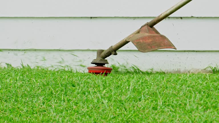 Best Tree Maintenance Programs  in Massanutten, VA